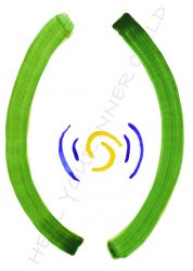 symbol 12 voel